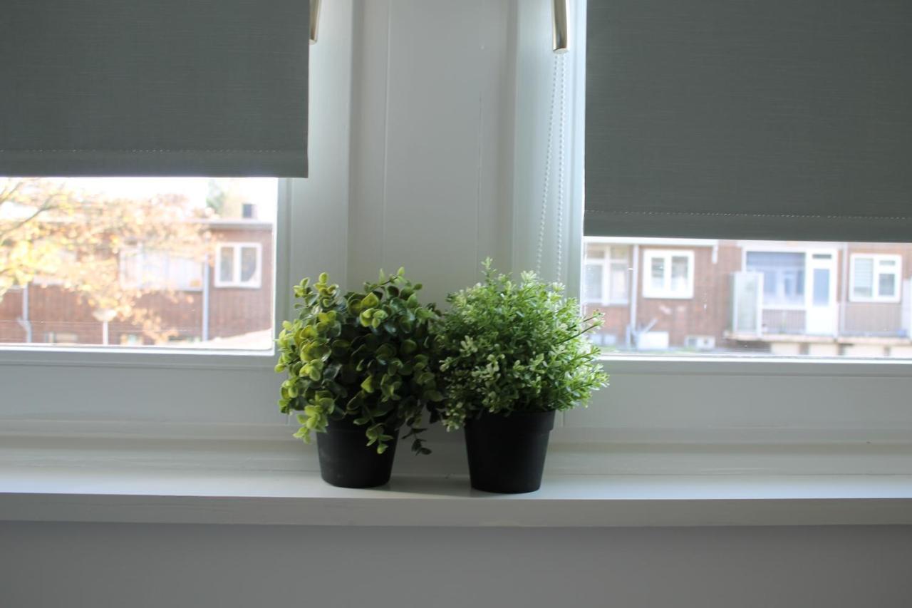Apartment Hoornweg Rotterdam Rom bilde